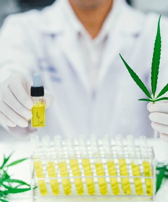 marijuana doctor evaluation